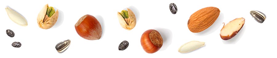 oreščki in semena
